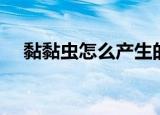 黏黏虫怎么产生的（黏黏虫产生的原因）