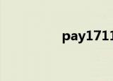 pay171121（pay163）