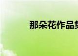 那朵花作品集（那朵花主题曲）