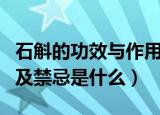 石斛的功效与作用及禁忌（石斛的功效与作用及禁忌是什么）