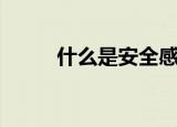 什么是安全感（安全感详细释义）