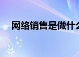 网络销售是做什么的（什么是网络销售）