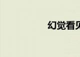 幻觉看见猫（幻觉kb）
