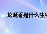 龙诞香是什么生物（关于龙诞香的介绍）