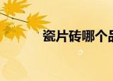 瓷片砖哪个品牌最好（瓷片砖）