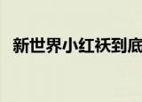 新世界小红袄到底是谁（小红袄终于实锤）