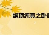 绝顶纯真之卧底（绝顶纯真之卧底）