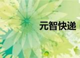 元智快递（元智快递查询）