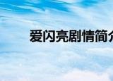 爱闪亮剧情简介（爱闪亮剧情介绍）