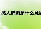 感人肺腑是什么意思（感人肺腑解释及出处）