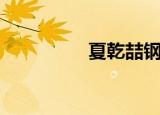 夏乾喆钢管舞（夏乾喆）