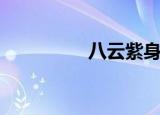 八云紫身高（八云滨治）