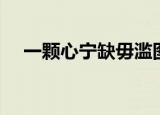 一颗心宁缺毋滥图片（一颗心宁缺毋滥）