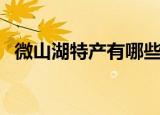 微山湖特产有哪些东西（微山湖特产介绍）