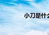 小刀是什么梗（小刀解释）