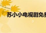 苏小小电视剧免费播放（苏小小电视剧）