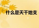 什么是天干地支（天干地支是什么意思）