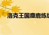 洛克王国麋鹿练级（洛克王国麋鹿练级）