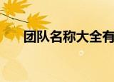 团队名称大全有哪些（团队名称精选）