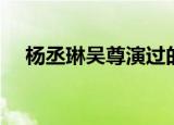 杨丞琳吴尊演过的电视剧（杨丞琳吴尊）