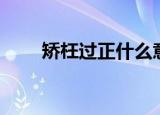 矫枉过正什么意思（矫枉过正解释）