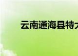 云南通海县特大杀人案（云南通票）