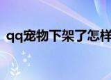 qq宠物下架了怎样再继续玩（qq宠物结婚）