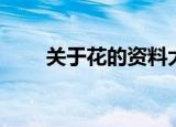 关于花的资料大全（花的相关知识）