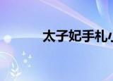 太子妃手札小说（太子妃计划）