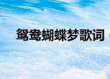 鸳鸯蝴蝶梦歌词（鸳鸯蝴蝶梦完整歌词）
