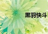 黒羽快斗（黒 金 开   键）