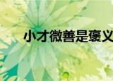小才微善是褒义还是贬义（小才微善）