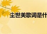 尘世美歌词是什么意思（尘世美歌词）