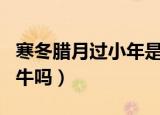 寒冬腊月过小年是什么生肖（寒冬腊月是生肖牛吗）
