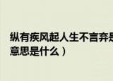 纵有疾风起人生不言弃是什么意思（纵有疾风起人生不言弃意思是什么）