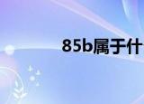 85b属于什么档次（85bbb）