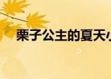 栗子公主的夏天小说（栗子公主的夏天）