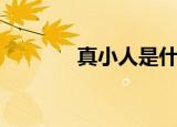 真小人是什么意思（真小人）