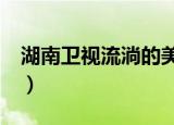湖南卫视流淌的美好时光（湖南卫视流星雨3）
