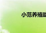 小范养殖助农记（xfy战队）