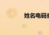 姓名电码查询（姓名电码）