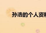 孙浩的个人资料（孙浩的个人简介）