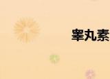 睾丸素（睾丸 大小）