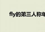 fly的第三人称单数（是flys还是flies）