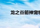龙之谷箭神宠物（龙之谷箭神武器）