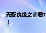 天配良缘之商君txt网盘（天配良缘之西烈月）
