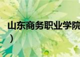 山东商务职业学院贴吧（山东商务职业学院吧）