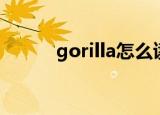 gorilla怎么读音（gorilla解释）