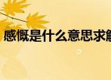 感慨是什么意思求解释（词语感慨什么意思）