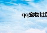 qq宠物社区（qq宠物打工）